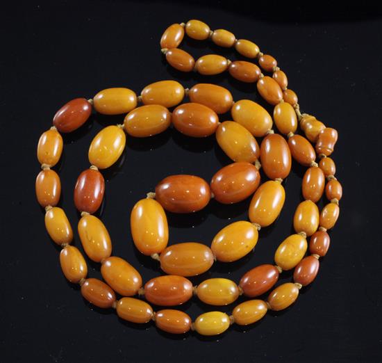 A single strand graduated oval amber bead necklace, 32in.